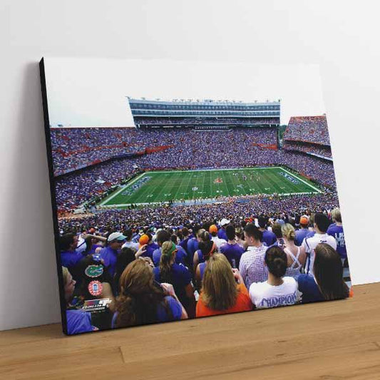 Ben Hill Griffin Stadium University of Florida Gators 2011