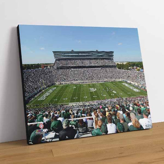 Spartan Stadium Michigan State University Spartans 2011