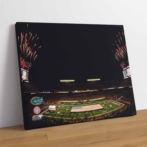 2009 BCS National Championship Game Florida Gators Champions