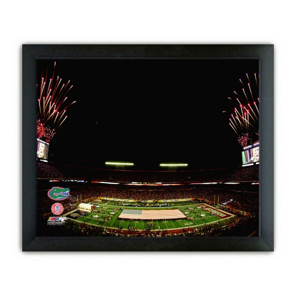 2009 BCS National Championship Game Florida Gators Champions