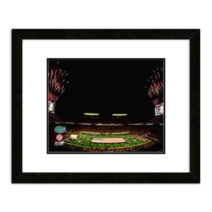 2009 BCS National Championship Game Florida Gators Champions