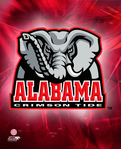 2010 University of Alabama Crimson Tide Logo