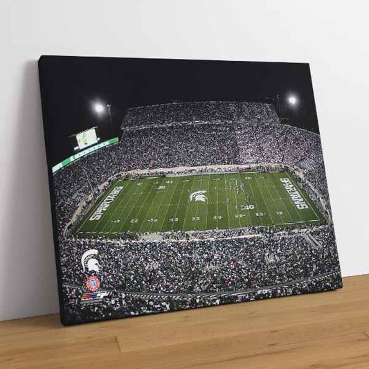 Spartan Stadium Michigan State University Spartans 2012