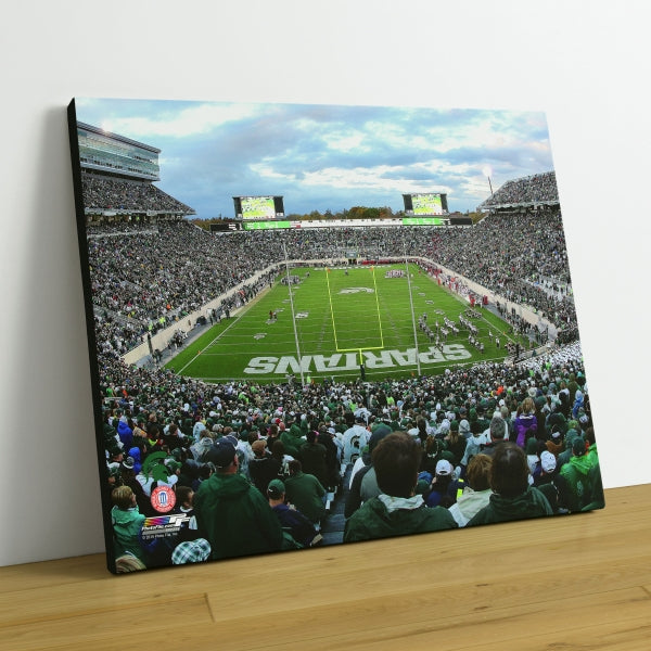 Spartan Stadium Michigan State Spartans 2015