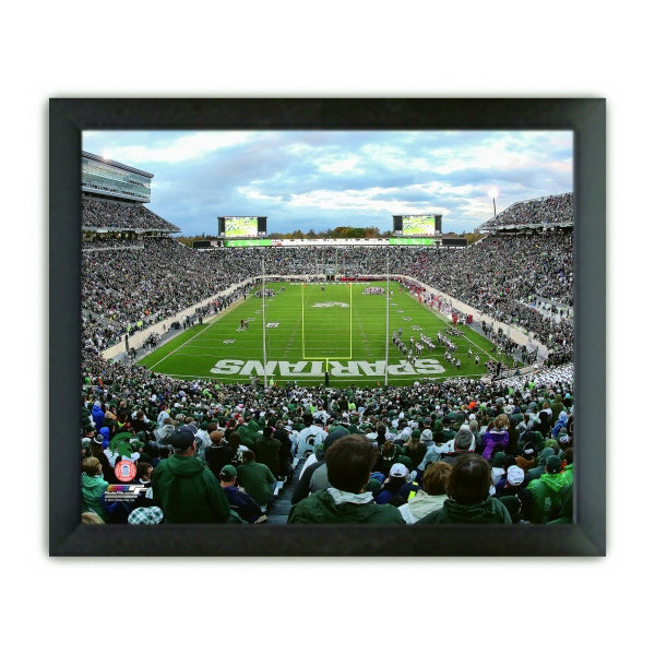 Spartan Stadium Michigan State Spartans 2015