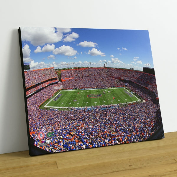 Ben Hill Griffin Stadium University of Florida Gators 2015