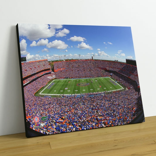 Ben Hill Griffin Stadium University of Florida Gators 2015