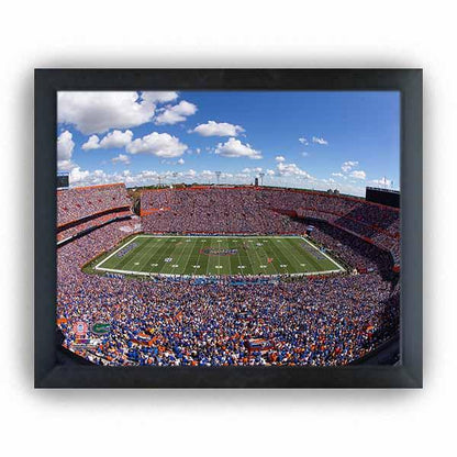 Ben Hill Griffin Stadium University of Florida Gators 2015